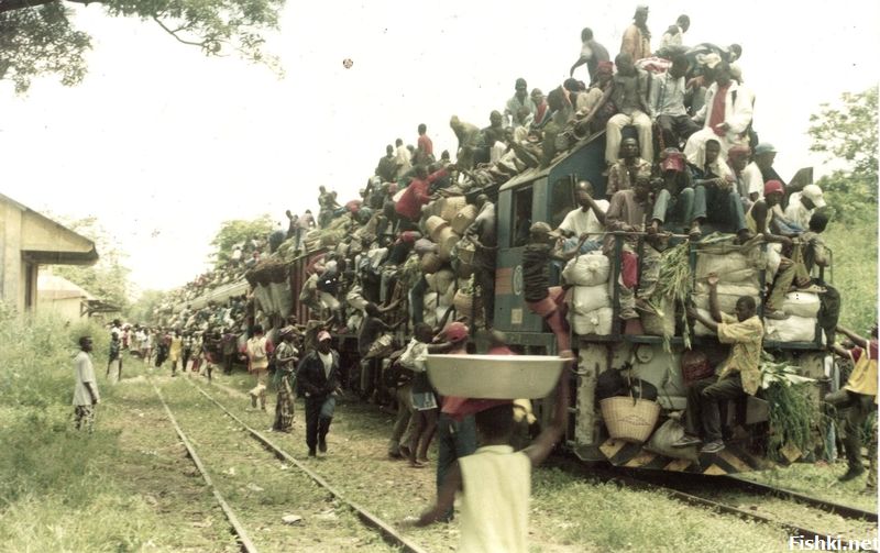 Африканский поезд