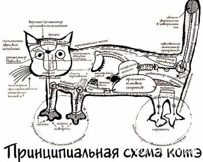Принципиальная схема кота